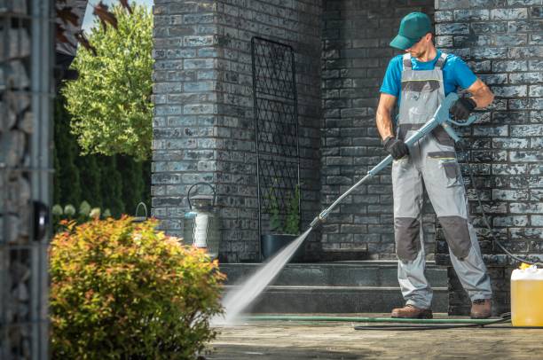 Best Animal Enclosure Cleaning  in Gang Mills, NY